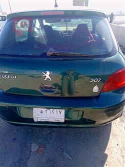 بیجۆ 307